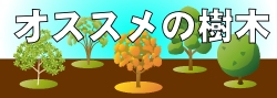 オススメの樹木