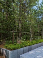 ジャクモンティ